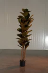 DSC04737